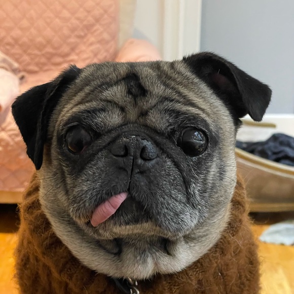 👽 welcome to Angie and Pupu's closet ✨ - Picture 6 of 8